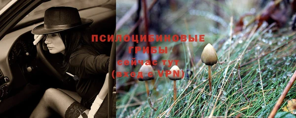 прущие крисы Мегион