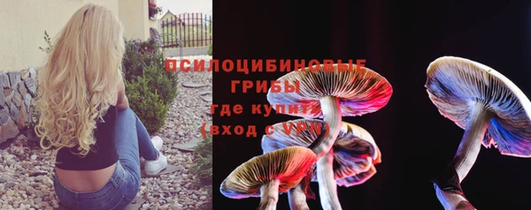 мдма Медвежьегорск
