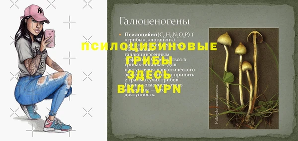 прущие крисы Мегион