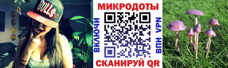 Псилоцибиновые грибы мухоморы  Купить где  Мирный 